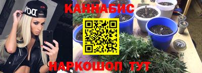 стафф Дубна