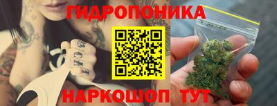 стафф Дубна